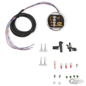 Replacement ignition module 236692 (DE)