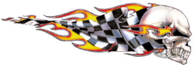 Checkered skull right decal 2.6"x7.53" (DE)