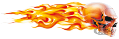 Mini Decal Flaming Skulls