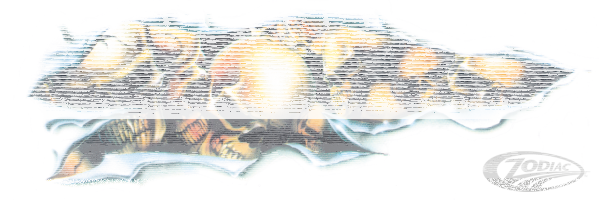 Shred Skull Long 2.761X8.094 (DE)