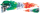 Irish Flame Skull Left 2.76X8.295 decal (DE)