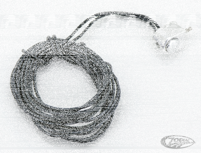SAS Momentary Push Button Switch (DE)