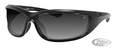 Charger Gloss Black Frame Smoked Lens (DE)