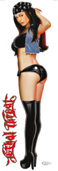 BIKER BANDANA  3"X10" (DE)
