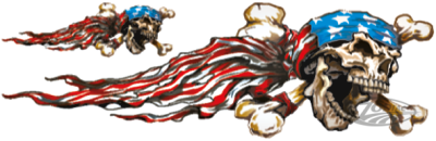 USA SKULL RIGHT 3"X10"