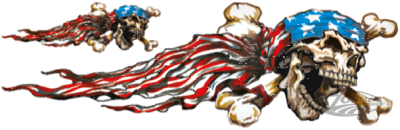 USA SKULL RIGHT 3"X10" (DE)