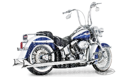 F*ST97-06 33s SHARKTAIL DUAL CHROME (DE)