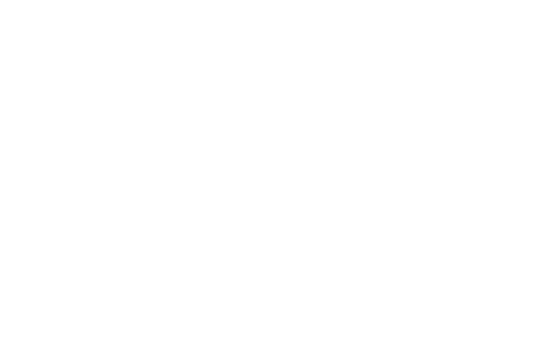 US-OUTLAW DUAL ALL BLK FLH/T95-08 (DE)