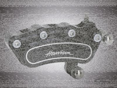 Harrison RR Caliper bracket Softail blck (DE)
