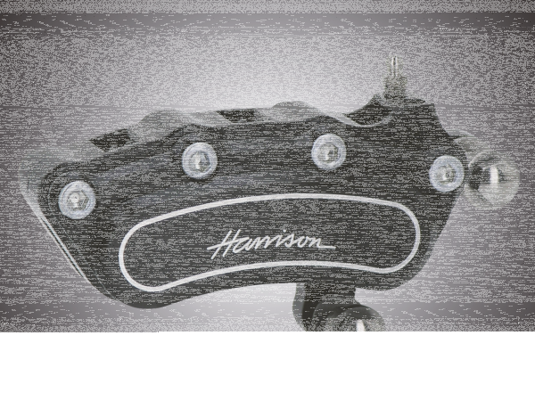 Slimline 4 caliper+bracket F*ST00-07 Pol (DE)