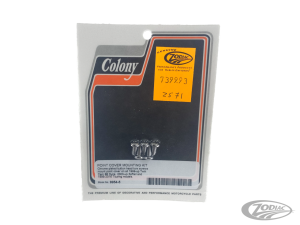 Chrome Torx button head ign.cvr screws (DE)