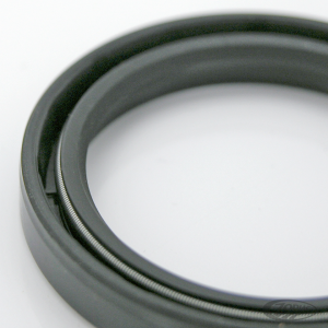 Fork Oil Seals, pair (DE)