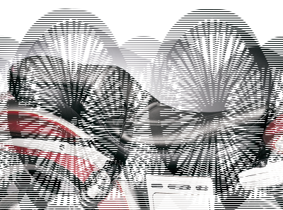 LePera Maverick seat FXDWG04-05 (DE)