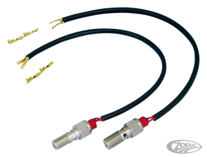 Brakelight bolt M10x1.00 Stainless steel (DE)