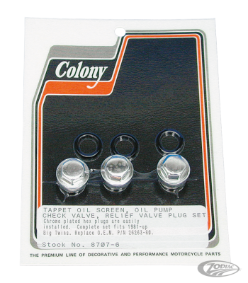 Oil pump and Tappet Screen plug set (DE)