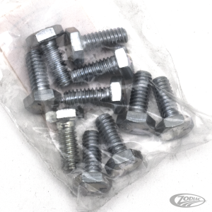 10pck hex bolt 1/4-20x5/8" UNC zinc