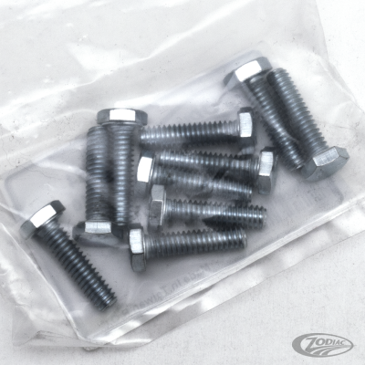 GZP 10pck hex bolt 1/4-20x1" zinc