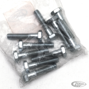10pck hex bolt 1/4-20x1-1/4" UNC zinc (DE)