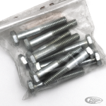 10pck hex bolt 1/4-20x1-5/8" UNC zinc