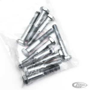 10pck hex bolt 1/4-20x1-3/4" UNC zinc (DE)