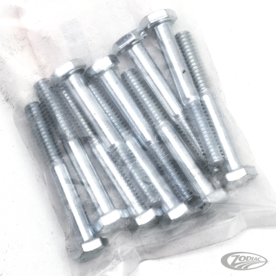 10pck hex bolt 1/4-20x2" UNC zinc (DE)