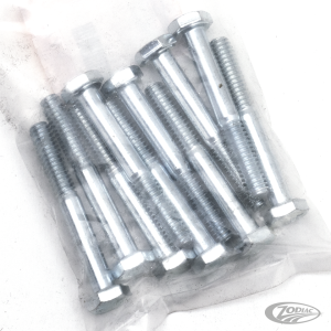 10pck hex bolt 1/4-20x2" UNC zinc (DE)