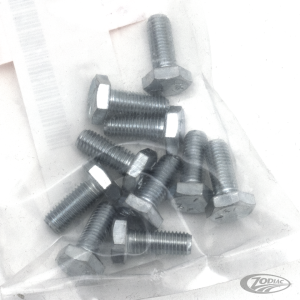 10pck hex bolt 1/4-28x5/8" UNF zinc (DE)