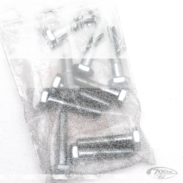 10pck hex bolt 1/4-28x1-1/4" UNF zinc (DE)