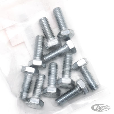 10pck hex bolt 5/16-18x7/8" UNC zinc (DE)