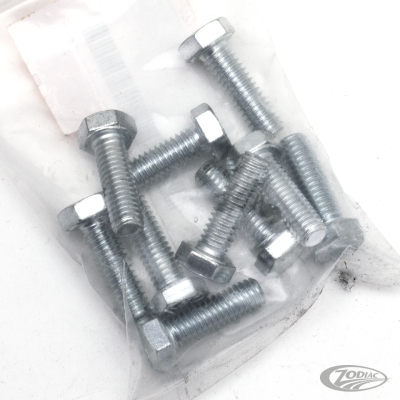 10pck hex bolt 5/16-18x1" UNC zinc (DE)