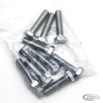 10pck hex bolt 5/16-18x1-1/4" UNC zinc (DE)