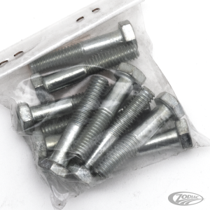 10pck hex bolt 5/16-18x1-5/8" UNC zinc (DE)