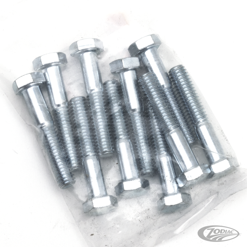 10pck hex bolt 5/16-18x1-3/4" UNC zinc (DE)