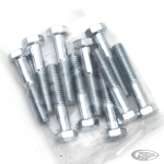 10pck hex bolt 5/16-18x1-3/4" UNC zinc