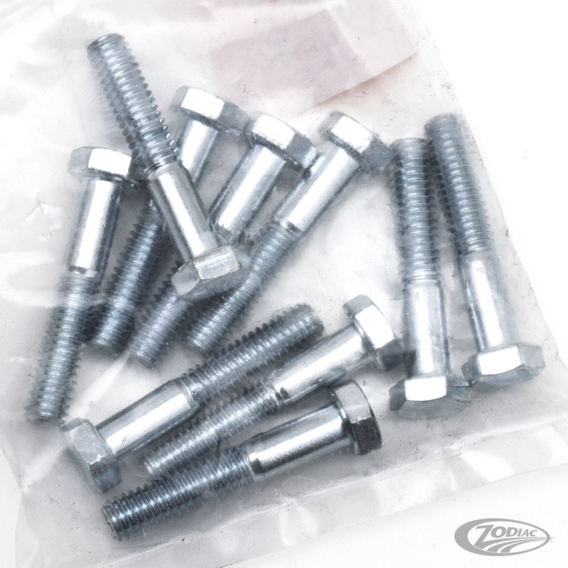 10pck hex bolt 5/16-18x1-7/8" UNC zinc (DE)