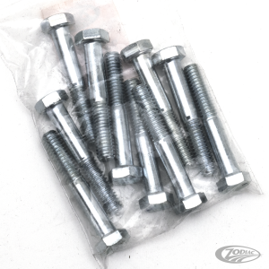 10pck hex bolt 5/16-18x2" UNC zinc (DE)