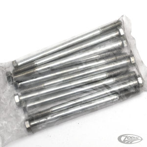 10pck hex bolt 5/16-18x5" UNC zinc (DE)