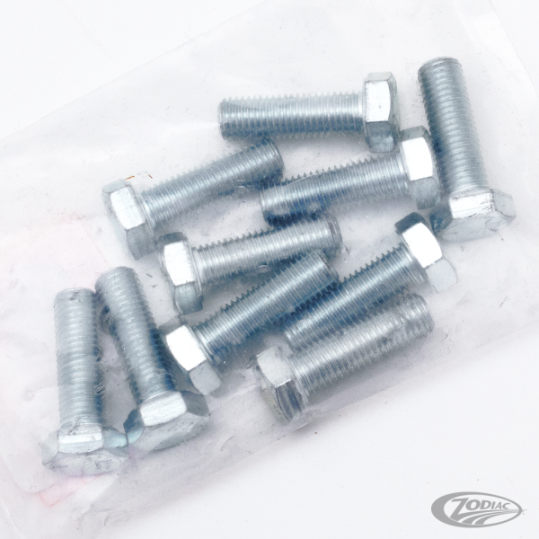 10pck hex bolt 5/16-24x1" UNF zinc (DE)