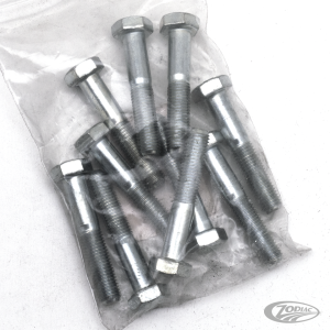 10pck hex bolt 5/16-24x1-3/4" UNF zinc (DE)