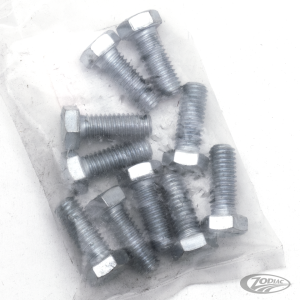 10pck hex bolt 3/8-16x1" UNC zinc (DE)