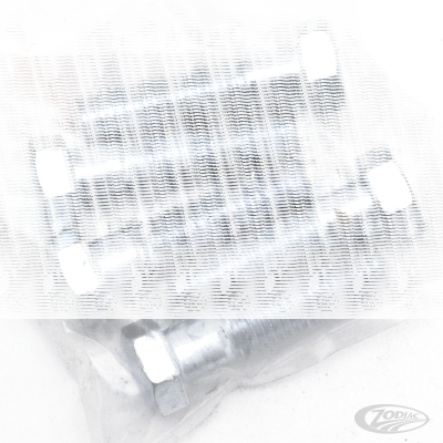5pck hex bolt 1/2-13x2" UNC zinc (DE)