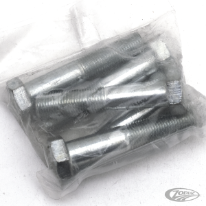 GZP 5pck hex bolt 1/2"-20x2.5" zinc (DE)