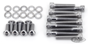Colony Primary cover screw kit 85-98 (DE)