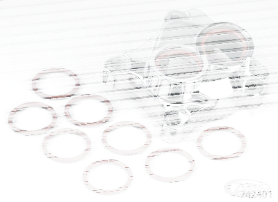 10pck VITON O-ring #11145A (DE)