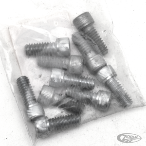 10pck allen bolt 1/4-20x5/8" UNC zinc (DE)