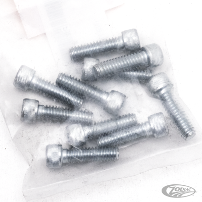 10pck allen bolt 1/4-20x7/8" UNC zinc (DE)
