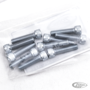 GZP 10pck allen bolt 1/4-20x1" zinc (DE)
