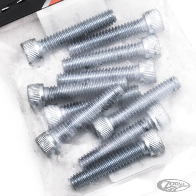 GZP 10pck allen bolt 1/4-20x1-1/4" zinc (DE)