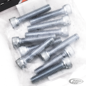 GZP 10pck allen bolt 1/4-20x1-1/4" zinc (DE)