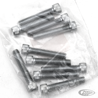 10pck allen bolt 1/4-20x1-3/8" UNC zinc (DE)